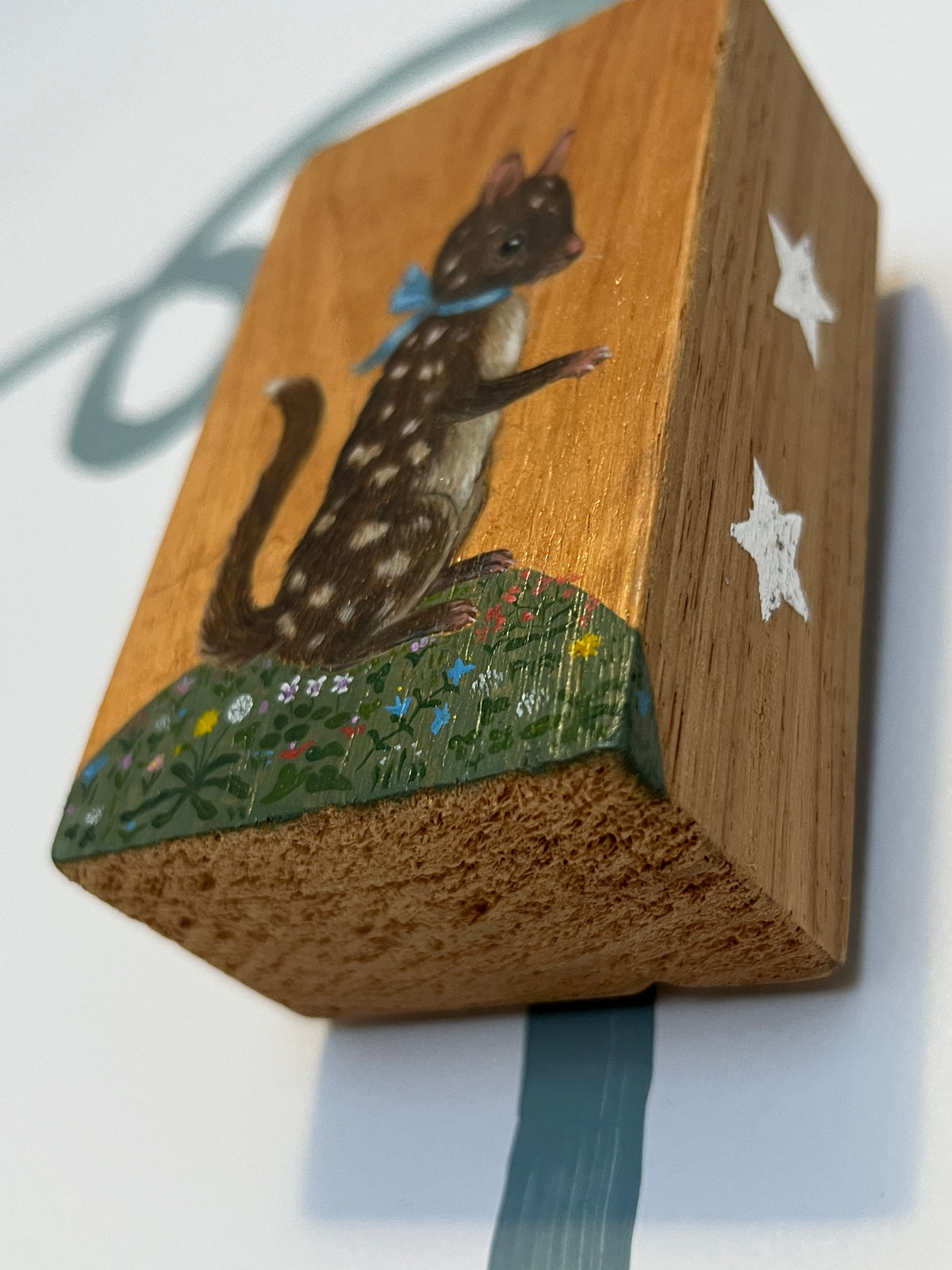 Quoll