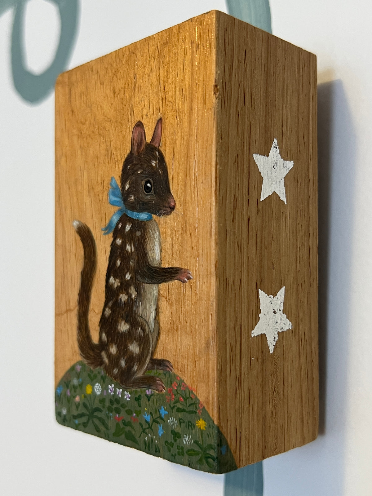 Quoll