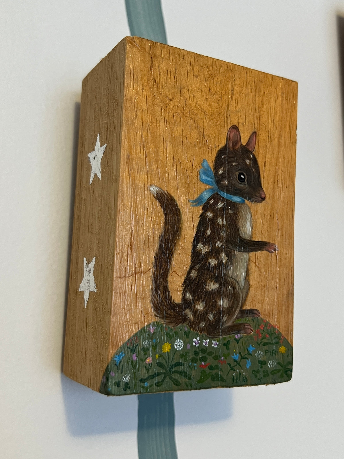 Quoll