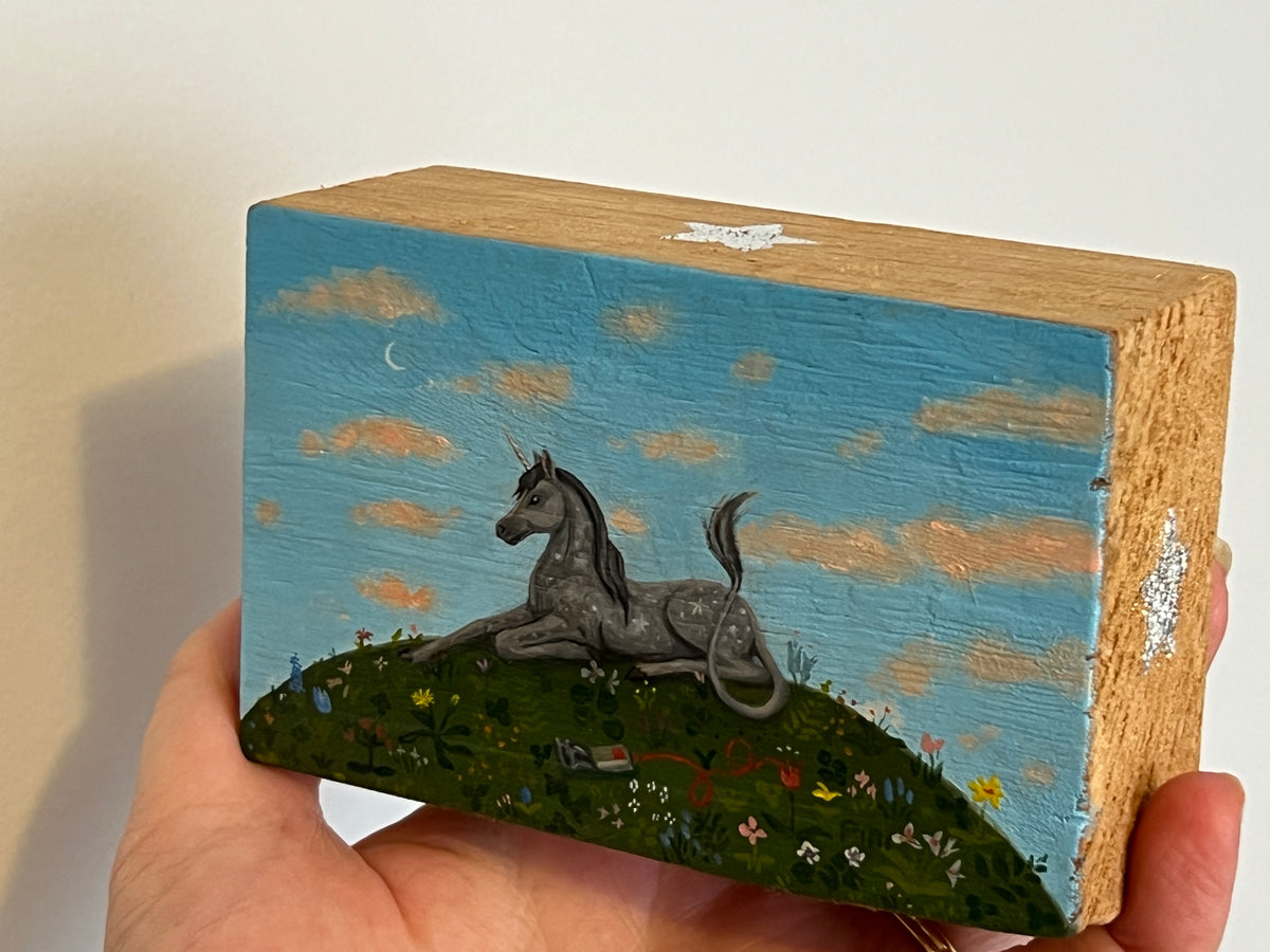 Pocket Unicorn #1