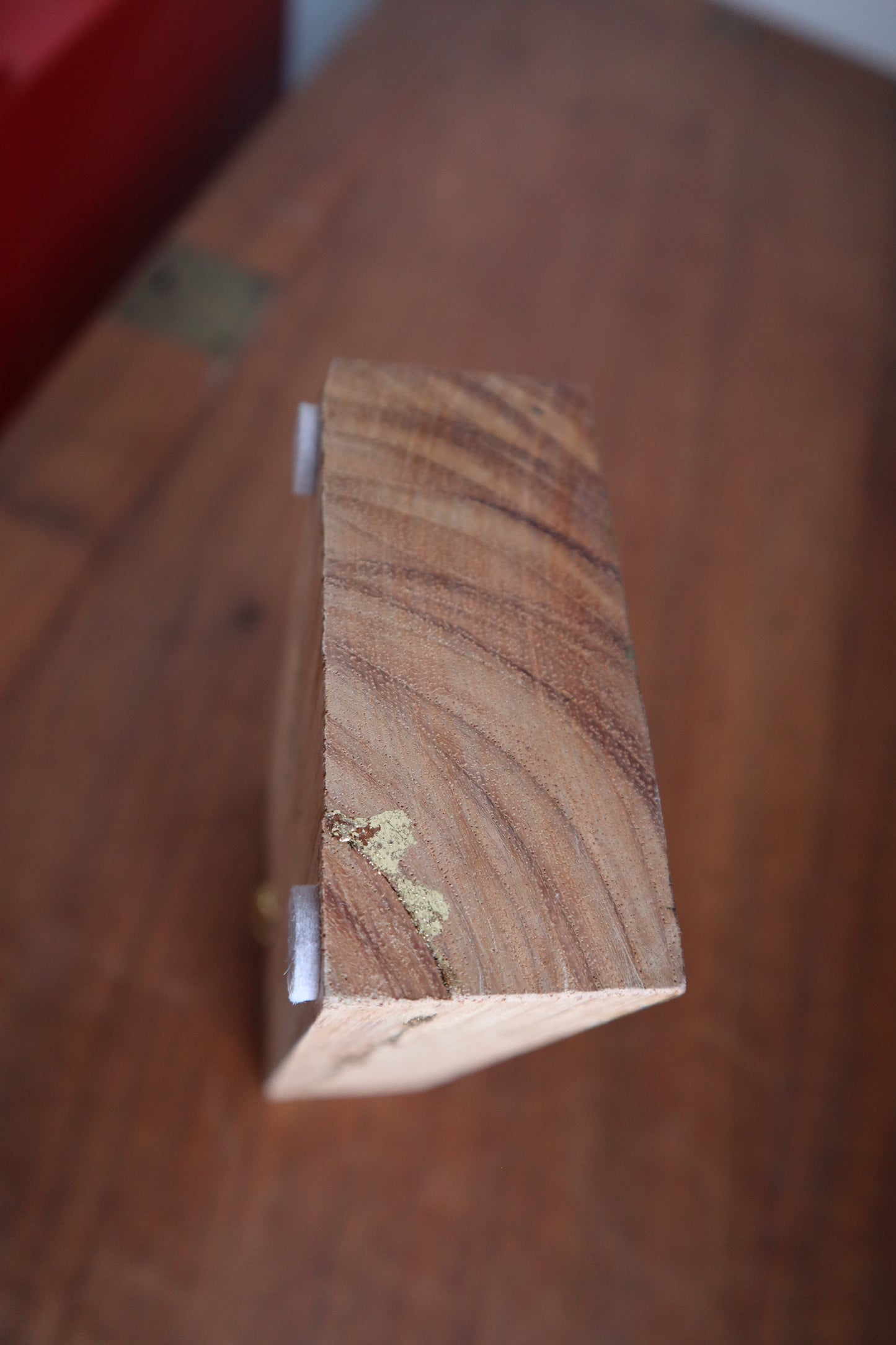 Artists Picnic At Tweed Regional Gallery - original painting