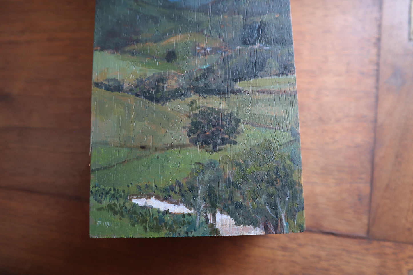 Artists Picnic At Tweed Regional Gallery - original painting