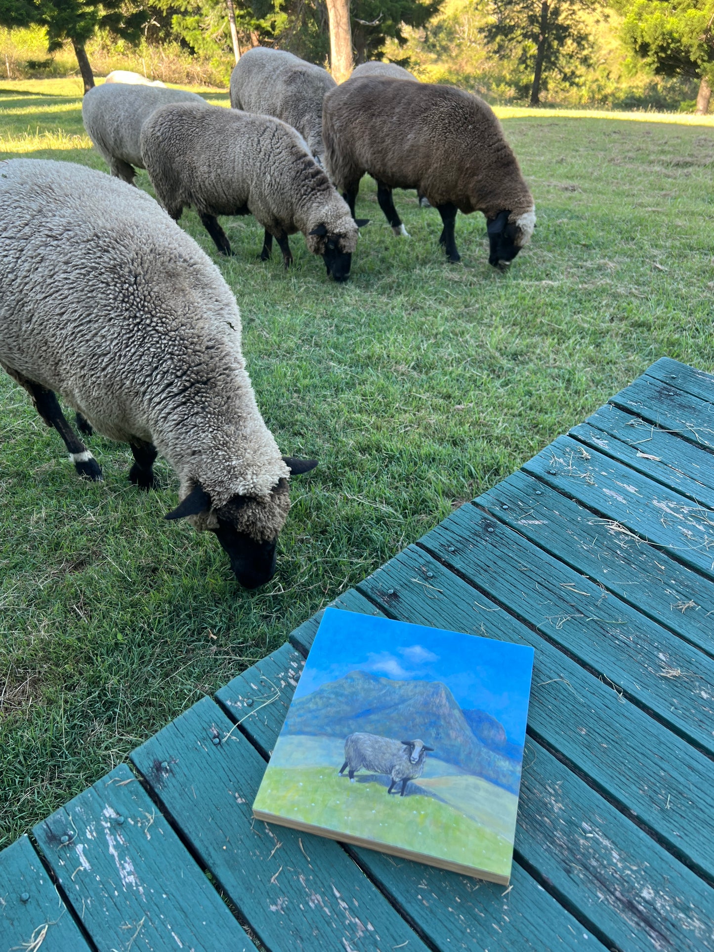 Worendo Sheep  - original painting